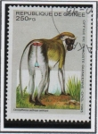 Stamps : Africa : Guinea :  Animales Africanos:  Cercopithecus aethiops