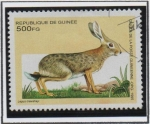 Stamps : Africa : Guinea :  Animales Africanos:  Lepus Crawshayi