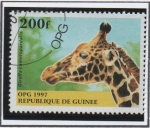 Stamps : Africa : Guinea :  Animales Salvajes: Jirafa