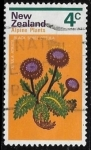 Sellos de Oceania - Nueva Zelanda -  Flores - Plantas Alpinas