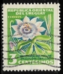 Sellos de America - Uruguay -  Flores - Flor de laPasion