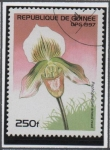 Stamps Guinea -  Orquídeas: Ernest Paphiopedilum