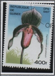 Stamps : Africa : Guinea :  Orquídeas: Gaudianum Paphiopedilum