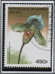 Sellos de Africa - Guinea -  Orquídeas: Ro papa Paphiopedilum