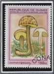 Stamps Guinea -  Hongos: Leccinum Nigrescens