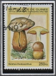 Stamps : Africa : Guinea :  Hongos: Boletus rhodoxanthus