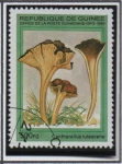 Stamps : Africa : Guinea :  Hongos: Cantharellus lutescens