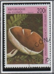 Stamps Guinea -  Hongos: Agaricus bisporus var. avellaneus