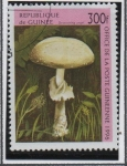 Stamps Guinea -  Hongos: Amanita virosa