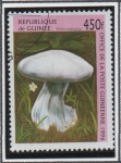 Sellos de Africa - Guinea -  Hongos: Cortinarius violaceus
