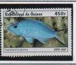 Stamps : Africa : Guinea :  Peces: Hypoplectrus gemma
