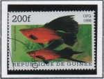 Sellos de Africa - Guinea -  Peces: Xiphophorus helleri