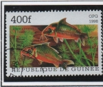 Sellos de Africa - Guinea -  Peces: 	Brochis britskii