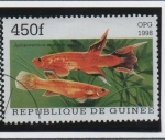 Stamps Guinea -  Peces:  Aphyosemion australe