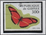 Stamps : Africa : Guinea :  Mariposas: Dryas julia