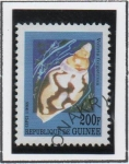 Stamps Guinea -  Moluscos: Voluta fulgetrum
