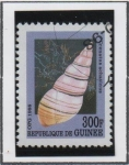 Stamps Guinea -  Moluscos: Crenatus achatinus