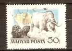 Stamps Hungary -  Perros