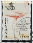 Stamps Guyana -  Pajaros: 	Flamenco rojo