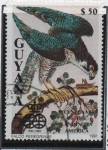 Stamps Guyana -  Pajaros: Halcón peregrino