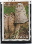Stamps Guyana -  Hongos:Matacandil