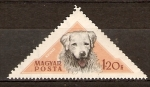 Stamps Hungary -  Perros