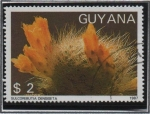 Sellos del Mundo : America : Guyana : Flores d' Cactus: 	Sulcorebutia densiseta