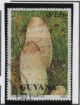 Stamps Guyana -  Hongos: Matacandil