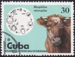 Sellos de America - Cuba -  Medicina veterinaria