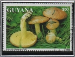 Sellos de America - Guyana -  Boleto granulado