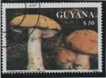 Sellos de America - Guyana -  	Casquillo azul del pie