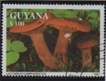 Sellos de America - Guyana -  Lactarius camphoratus