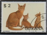 Stamps Guyana -  Gatos: Abisinio