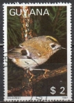 Stamps Guyana -  Pájaros: Reyezuelo sencillo