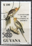 Sellos de America - Guyana -  Pajaros: Nymphicus hollandicus