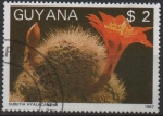 Stamps Guyana -  Flores d' Cactus: Sulcorebutia densiseta
