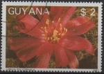 Sellos del Mundo : America : Guyana : Flores d' Cactus: Lobivia polycephala