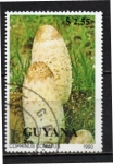 Stamps Guyana -  Hongos: Comatus Coprinus