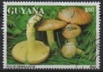 Stamps Guyana -  Hongos: Boleto granulado