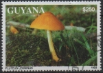 Stamps Guyana -  Hongos: Escudo de león