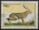 Stamps : Africa : Guinea :  Lepus Crawshayi