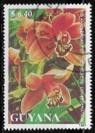 Sellos del Mundo : America : Guyana : Orquideas - Cymbidium sp.