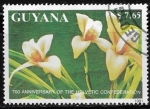 Sellos del Mundo : America : Guyana : Orquideas - White Nun Orchid 