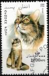 Stamps : Asia : Afghanistan :  Gato somalí.