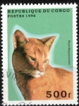 Stamps Republic of the Congo -  Gato Abisinio rojo.