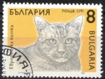 Sellos del Mundo : Europa : Bulgaria : Gato, Domestico Europeo.