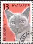 Stamps Bulgaria -  Gato, Siames.