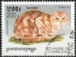 Sellos de Asia - Camboya -  Gato, Pliegue escocés.