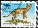 Stamps : Asia : Cambodia :  Gato, Devon Rex.