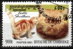 Stamps Cambodia -  Gato exótico.